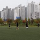 운정스포츠센터 축구장 이미지