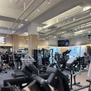 테드짐 | 암사동PT 강일동PT 테드짐&amp;트리오짐 문선정 강사 홍콩 대회 후기