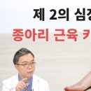 ▒▶…제2의심장 종아리 근육키우기 이미지