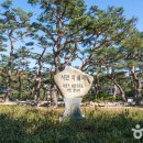 새솔밭 티스토리