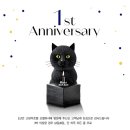 청담고양이 이미지
