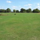 리버사이드골프클럽 이미지