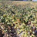 화순고려병원 이미지