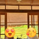 스틸하우스 | 베트남 사파 여행, 스틸하우스 토파스 에코로지 상세 솔직후기(사진스팟, 한글메뉴, 꿀팁)