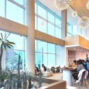 몰리힐스(MOLLI HILLS) 이미지