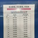 성산항입구 | 성산항 우도 배시간 주차장 꿀팁 방출