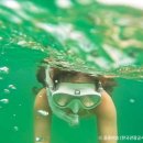 강정동-75 이미지