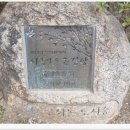 구서동 도시숲 이미지