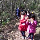 진도유치원 이미지