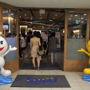 분당-174 이미지