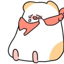 애잘린