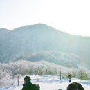 상고대전망대 | 설경이 아름다운 계방산 눈꽃 설화 상고대 전망대 등산 코스 후기