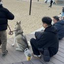 (주)닥터디자이너 | 요즘 자주 오네요..12월 일상 가져왔어요