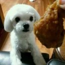 치킨앤