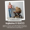 듀오시스템