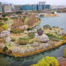 일산호수공원 이미지