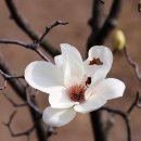 삼성동-02 이미지