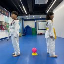 구단태권도 이미지