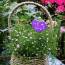 수청횟집 이미지