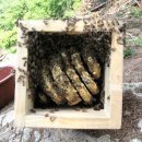 가축농장 이미지