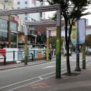 태화강디자인광고 네이버블로그