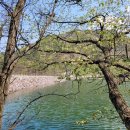 삼기 삼거리 이미지