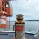 창리해상낚시터 | 서산 해상펜션 창리 바다쉼터 쭈꾸미 낚시 도전? 후기