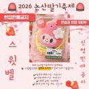 춤추는머리나라 | [충남/논산] 전세계를 유혹한 제28회 논산딸기축제 내돈내산 후기