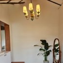 푸른뜰독채펜션 이미지