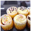 제대로 배워보는 홈트레이닝 이미지