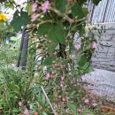 힘들어요 ^&amp;* 이미지