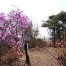 신도안면사무소 이미지