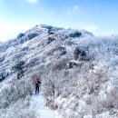 소백산 겨울산행 - 황홀한 눈꽃의 향연 이미지