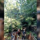 2025.12월28일 5670아름다운동행 산행방 송년회가 있읍니다~~ 이미지