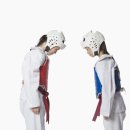 튼튼한태권도 이미지