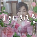 비도원