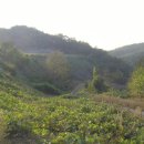 칠서면사무소 이미지