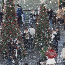 영화의전당 이미지