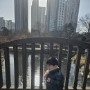 서천공원 티스토리