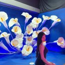시대 | [부산 여행] 뮤지엄 원 <다시, 낭만의 시대> 내돈내산 솔직 후기! 부산 가볼만한곳