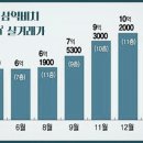 1년만에 무려 10억올랐다, '부산판 은마아파트' 소리 듣는 곳 이미지