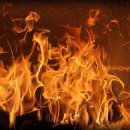 태영무역 이미지