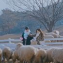 강림목장 이미지