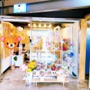 디어퐁퐁 이미지