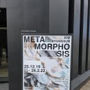 강남번역 | 12월 강남 전시회 김병섭작가 메타모포시스 후기 송지오 갤러리 느와 연말 서울 무료전시 추천