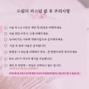 드림미