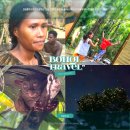 메디 강(Medi river) | 【보홀투어추천】 보홀여행마지막날 로복강선상투어&amp;보홀육상투어어+반딧불투어=프리미엄 샌딩팩 '세...