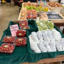 뜨란 | 당진 반촌리 뜨란시장-기지시 더 싱싱한 아침 내돈내산 후기