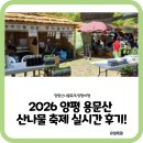 용문산마트 | (양평 여행) 2026 양평 용문산 산나물 축제 실시간 찐 후기! 꿀팁 대방출