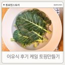 곱지 - 부천시 오정구 소사로794번길 64 | 후기 이유식 케일 큐브 만들기｜ 300일 아기 토핑 이유식 기록